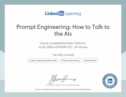 Certification Prompt Engineering How to Talk to the AIs LinkedIn - Marknadsföringsbyrå Malin Toftemar Malmö Lund Ystad Stockholm och Sverige