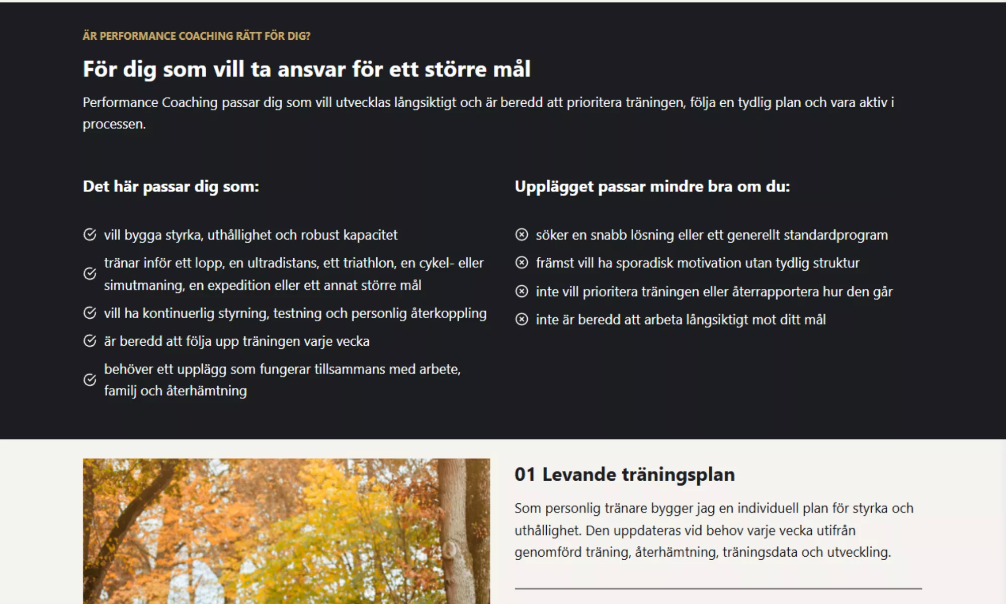 GoCoach – ny webbplats och digital grund för tillväxt 3 GoCoach färdig webbplats tydligare upplagg